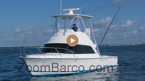 Bertram 35 Flybridge ficha tecnica